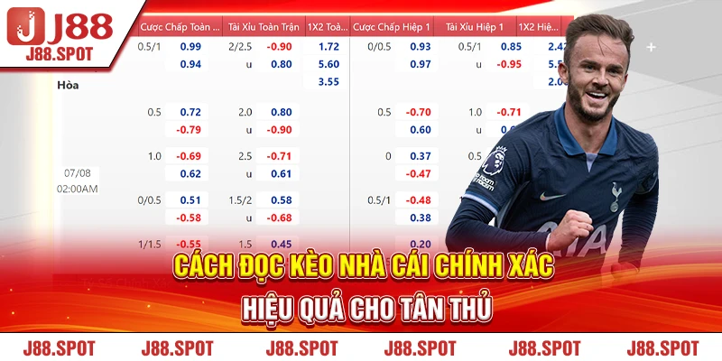Cách Đọc Kèo Nhà Cái Chính Xác, Hiệu Quả Cho Tân Thủ
