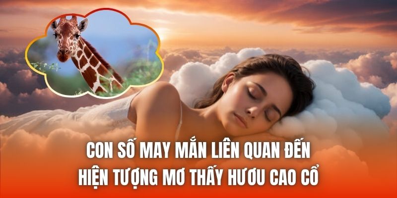 Con số may mắn liên quan đến hiện tượng mơ thấy hươu cao cổ